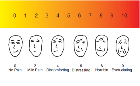 3a. Pain Assessment Scale B