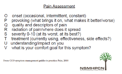 3a. Pain Assessment Scale