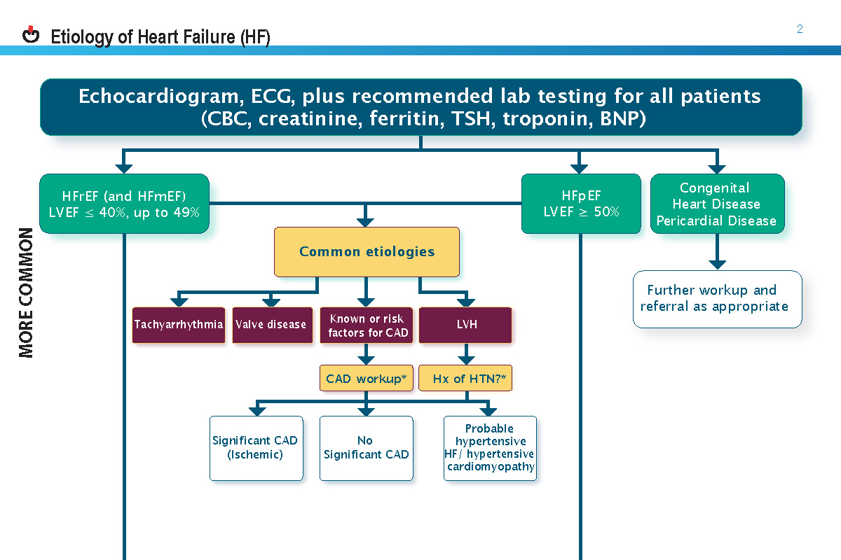 2021-Heart-failure-guide_Page_06