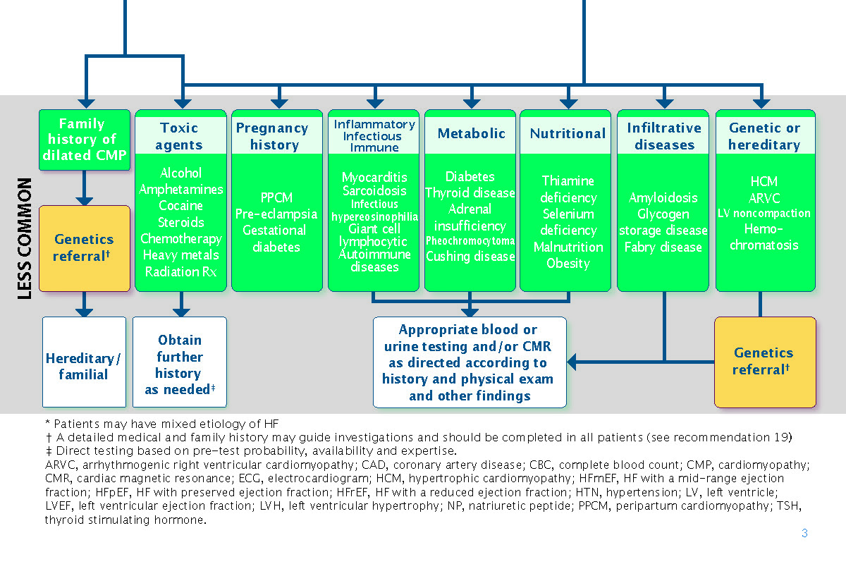 2021-Heart-failure-guide_Page_07