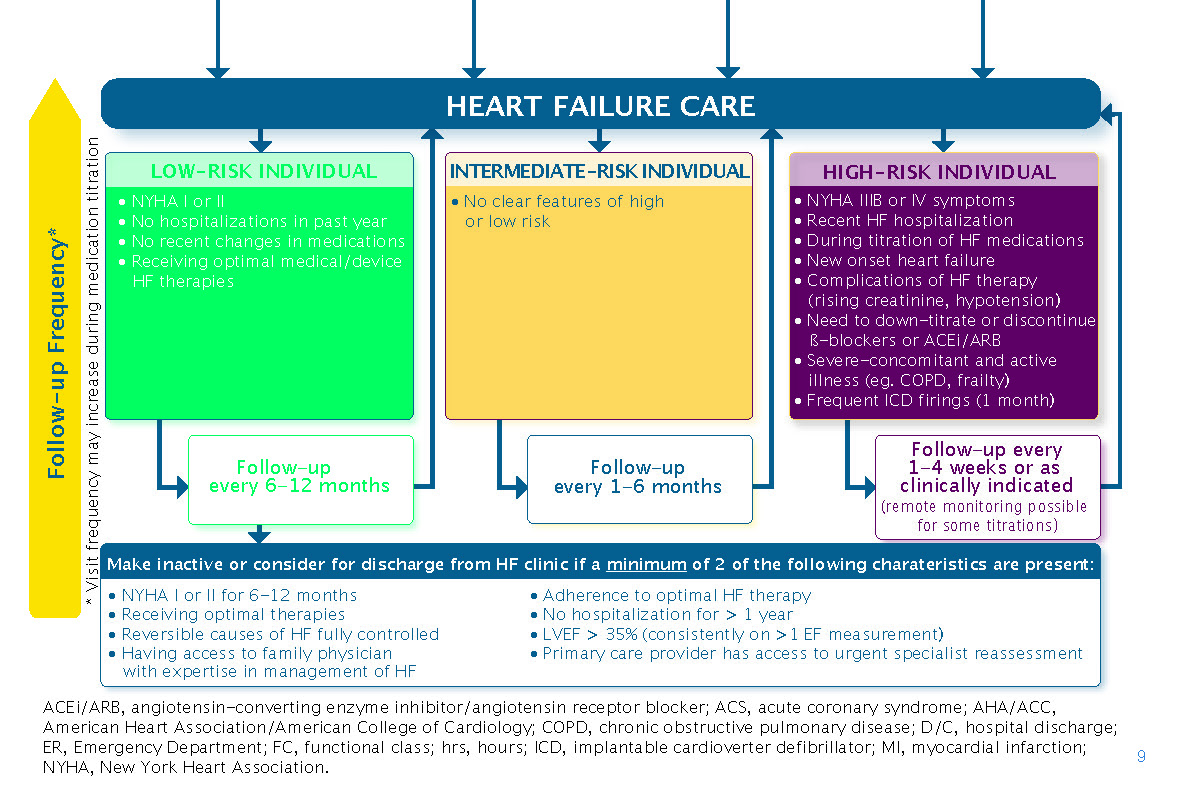 2021-Heart-failure-guide_Page_13