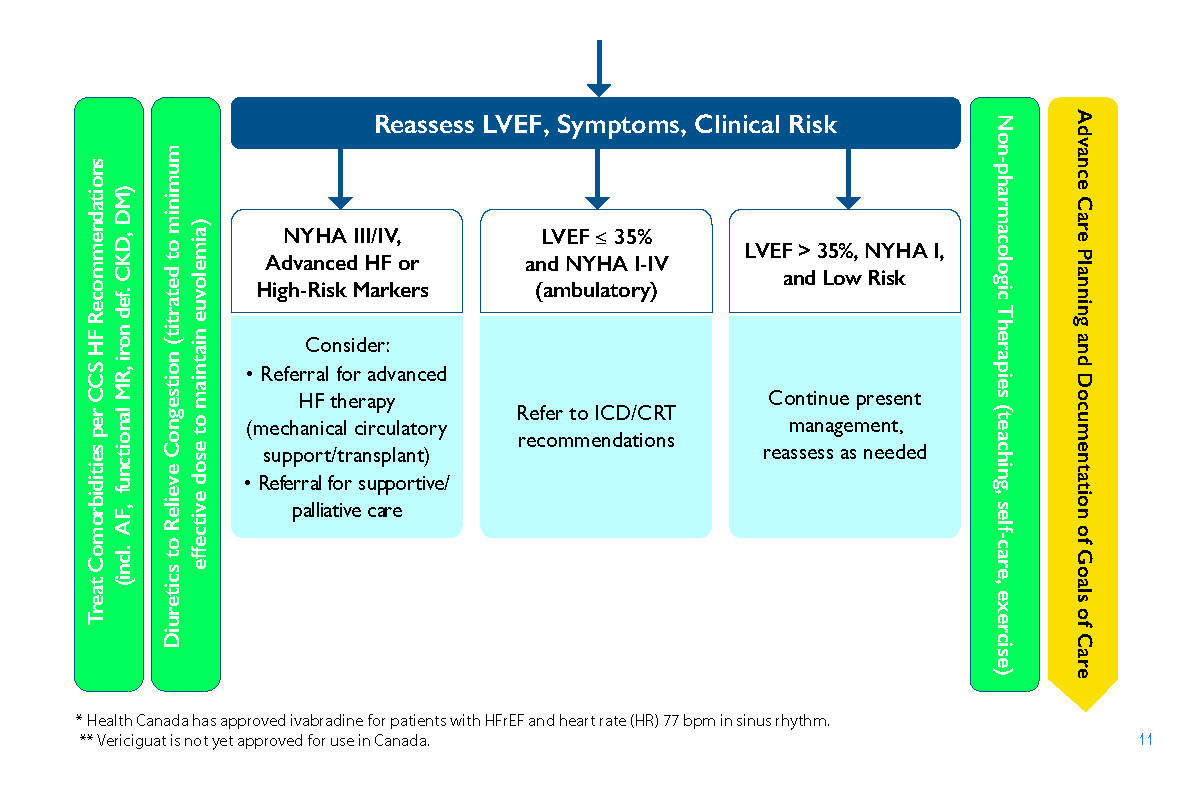 2021-Heart-failure-guide_Page_15