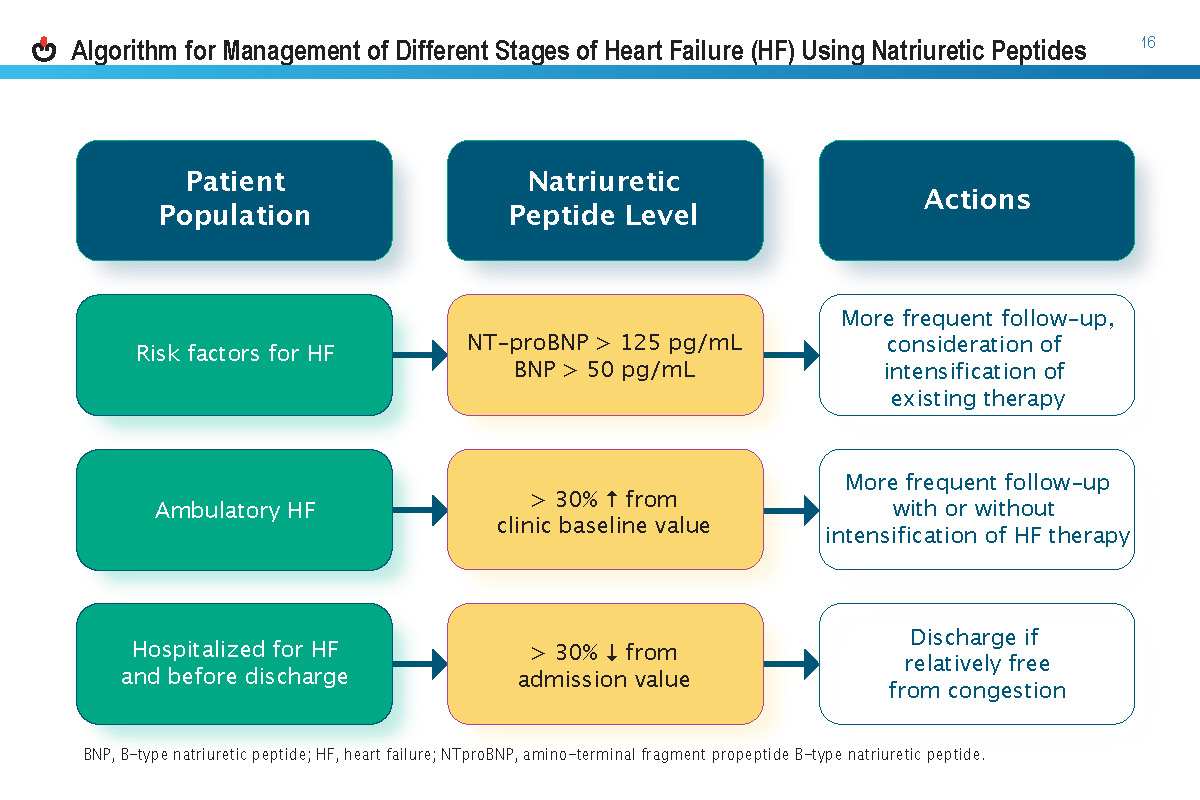 2021-Heart-failure-guide_Page_20