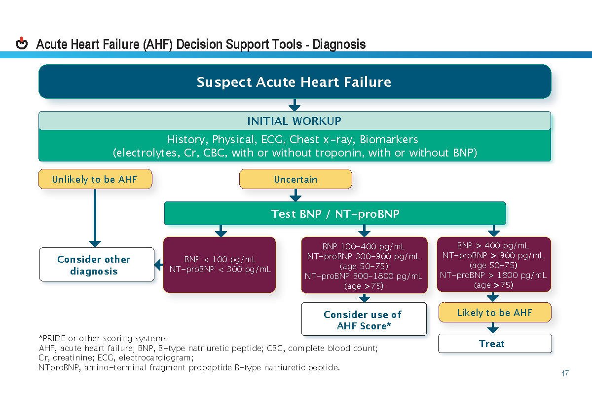 2021-Heart-failure-guide_Page_21