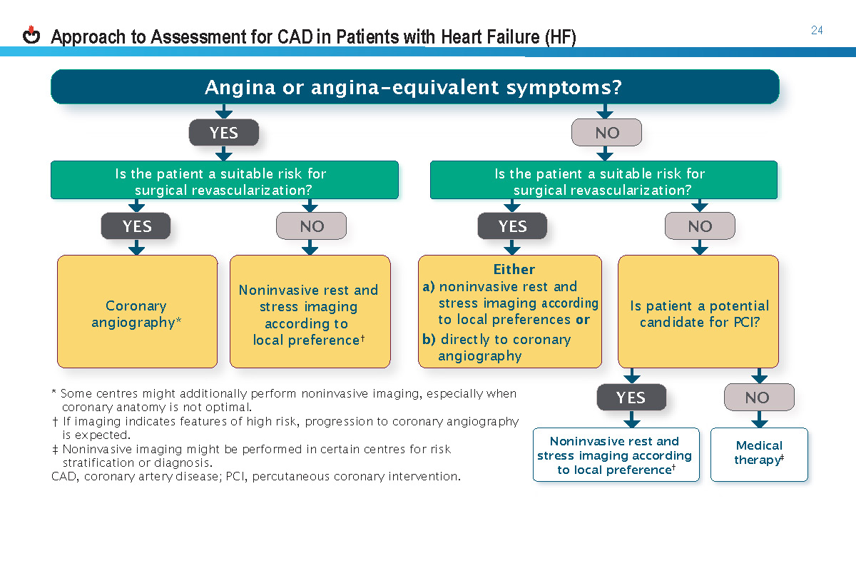 2021-Heart-failure-guide_Page_28