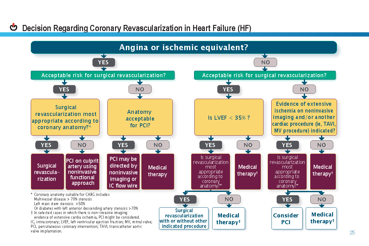 2021-Heart-failure-guide_Page_29